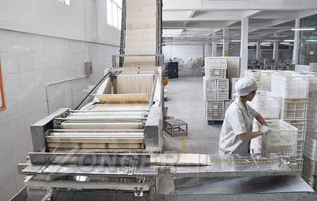 Automatic Egg Noodles Machine|Vegetable Noodles Making Plant
