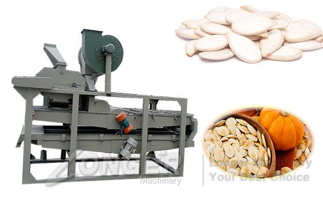 pumpkin packing machine