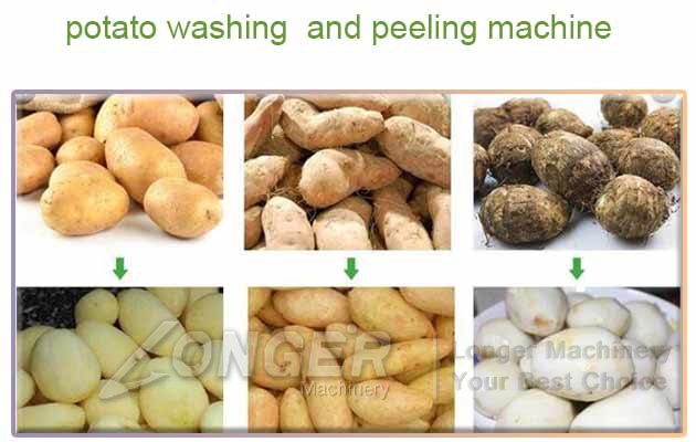 potato washing and peeling machine
