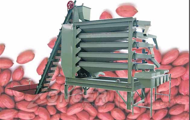 Peanut Sorting Machine|Peanut Grading Machine
