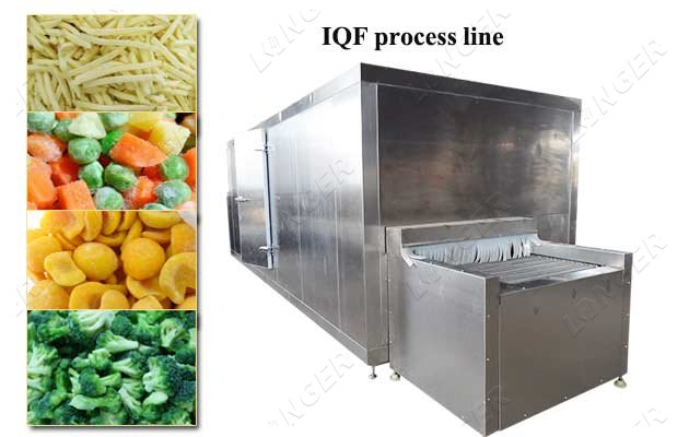 IQF Processing Line For Fruit Vegetables Instant Quick Freezer Machine