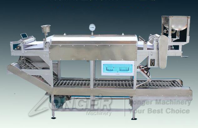 rice noodle machine