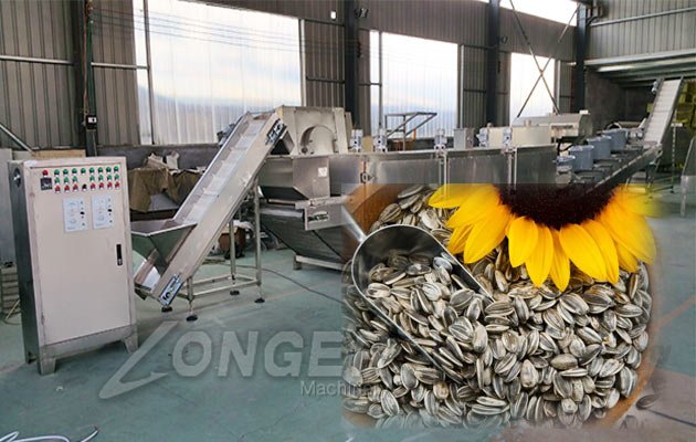 seed roasting machine