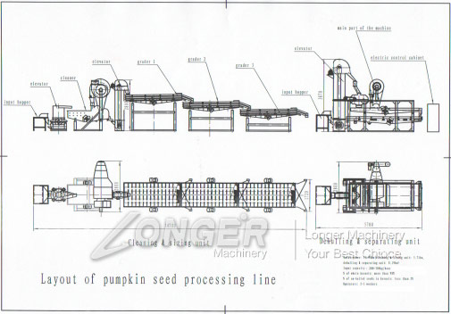 pumpkin seed shelling machine