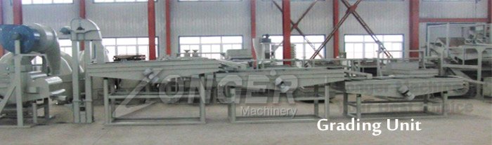 pumpkin seed shelling machine