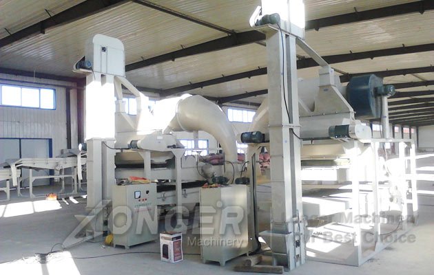 pumpkin seed peeling machine