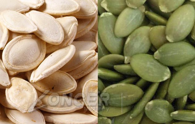 pumpkin seed peeling machine