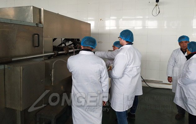 ice cream cones plant