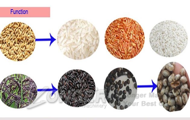 coffee bean dehuller machine