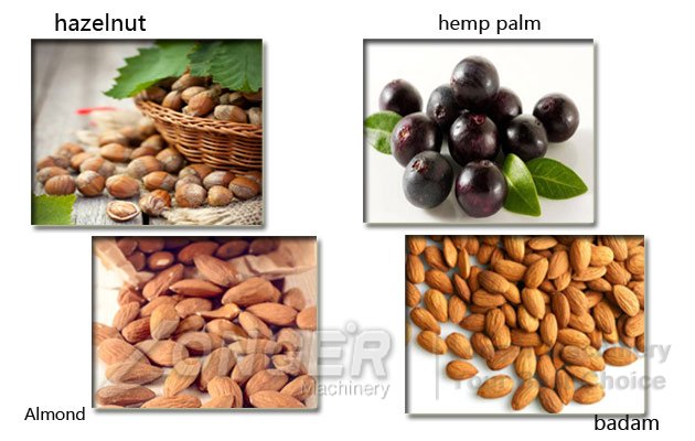 hazelnuts dehulling machine