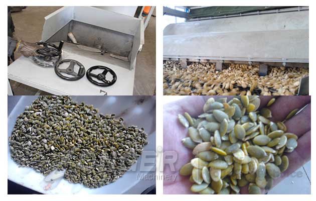 melon seed peeler machine