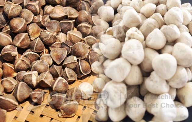 moringa seeds sheller machine