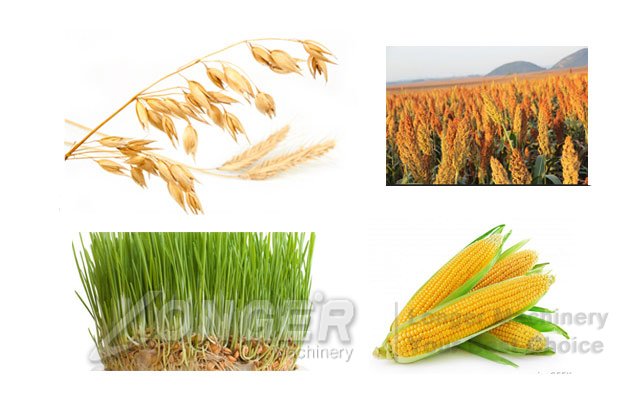 peeling machine for sorghum