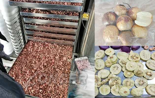 vacuum freeze-frying machine