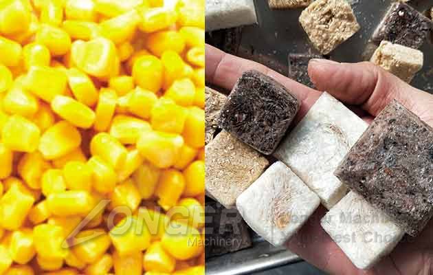 vacuum freeze drying machine price