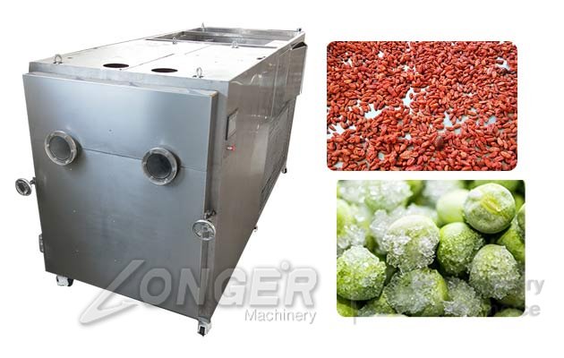 freeze drying machine cost