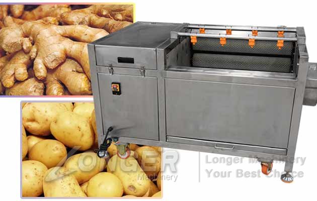 potato washing peeling machine price
