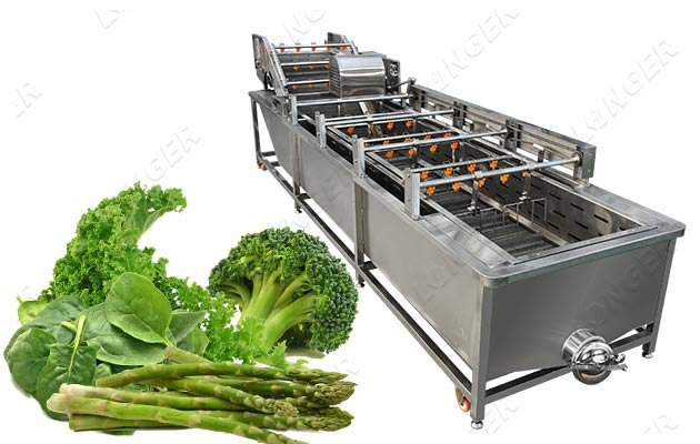 commercial vegetable washing machine price