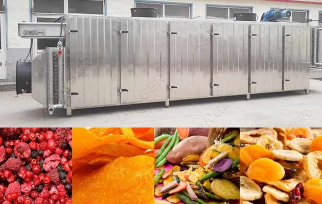 fruit dehydrate machine price