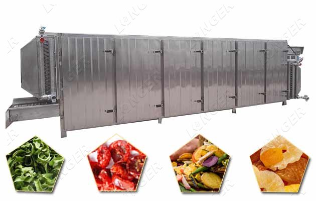 tomato dehydration machine supplier