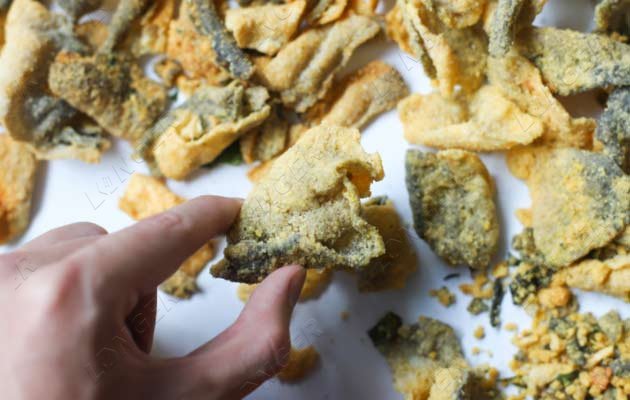 fish skin continuous fryer