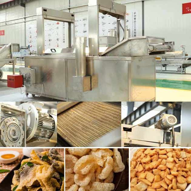 fish skin automatic frying equipment