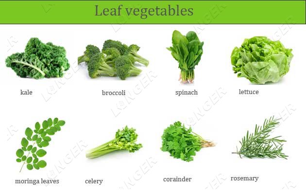 leaves vegetable washing machine