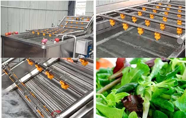 industrial leaf vegetable washing machine