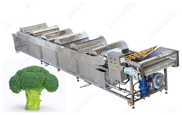 broccoli washing machine for sale