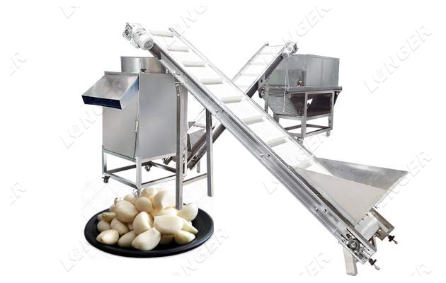 garlic peeling processing machine