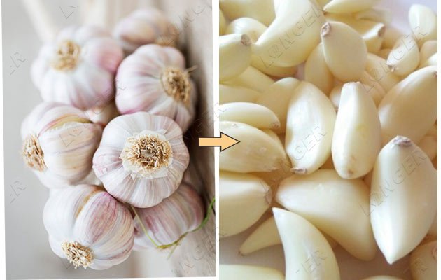 garlic peeling processing machine