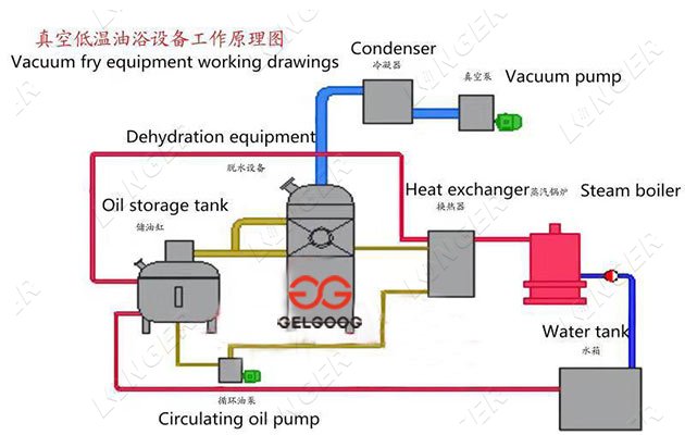 vacuum fry dried fruit vegetable