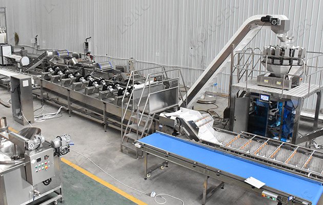 Automatic Salad Processing Line for cabbage