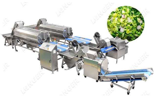 Automatic Salad Processing Line