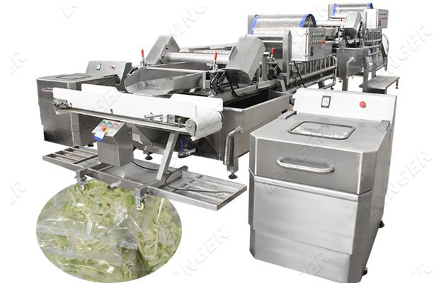 Salad Processing Plant for Cabbage