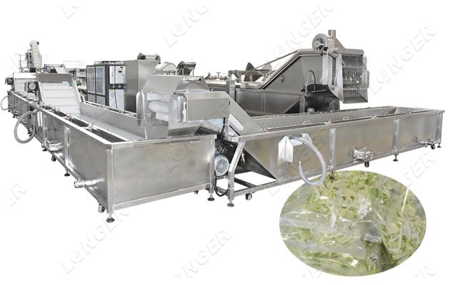 Automatic Machines for Processing Salad
